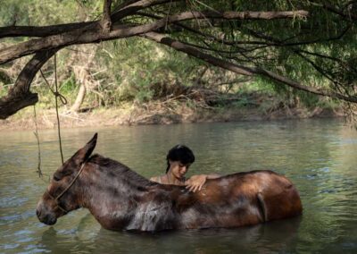 La Arriera | The Muleteer